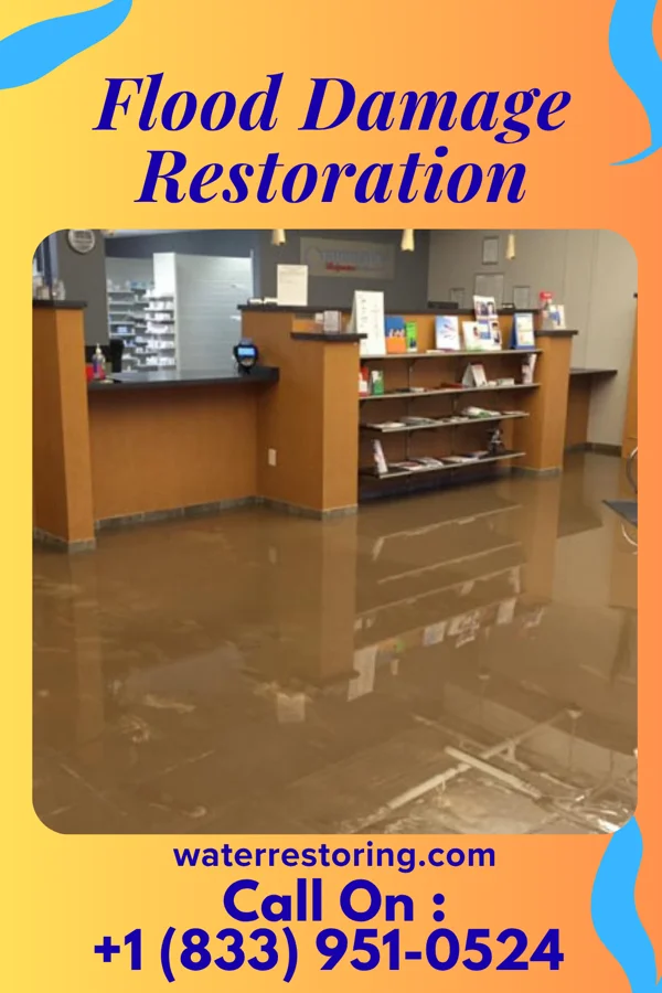 Flood Damage Restoration in DISH, TX